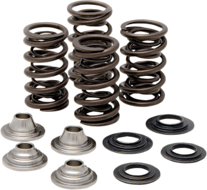 Valve Spring Kit, 1, nordicamoto.ro