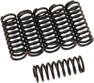 Clutch Spring Kit Black