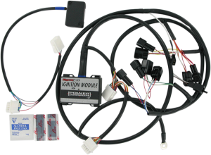 Ignition Module Black, 1, nordicamoto.ro