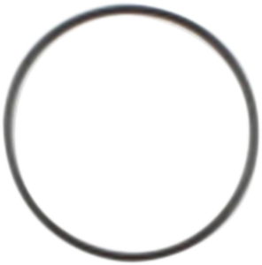 Starter O-ring