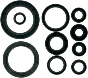 Oil Seals