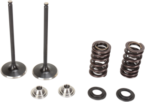 Stainless Steel Conversion Valve And Spring Kit