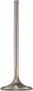 White Diamond Engine Valve