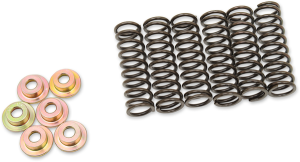 Clutch Spring Kit Black