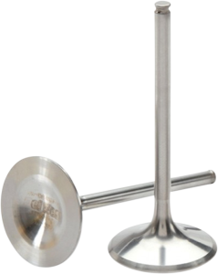 Fuel Valve Kit
