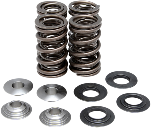 Valve Spring Kit
