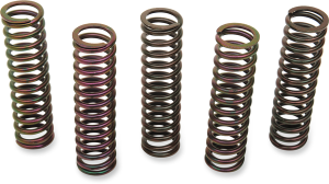 Clutch Spring Kit