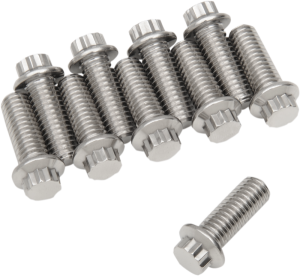 Bolt 12pt 3/8-16x1 Silver
