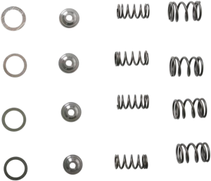 Valve Spring Kit, 1, nordicamoto.ro