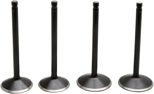 Engine Valve Kit, 1, nordicamoto.ro