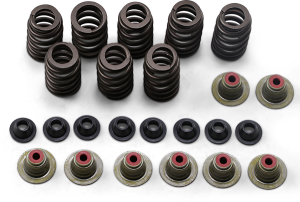 Valve Spring Kit