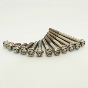 Titanium Screws Unfinished, 2, nordicamoto.ro