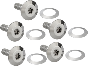 Brake Rotor Hardware Silver