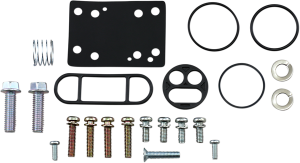 Petcock Repair Kit
