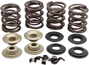 Complete Valve Spring Kit