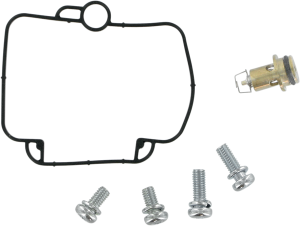 Economy Carburetor Repair Kit