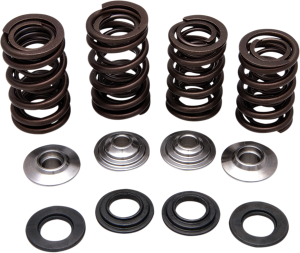 Valve Spring Kit, 1, nordicamoto.ro
