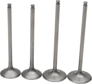 Pro Valve Kit 