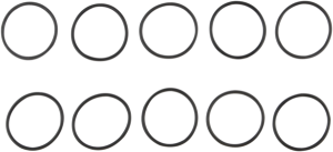Primary O-ring