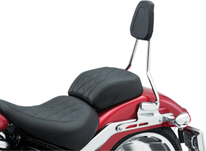 Sissy Bar Harley Davidson Black, Silver, 1, nordicamoto.ro