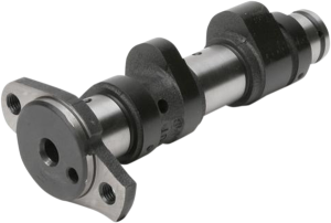 Intake/exhaust Camshaft
