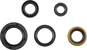 Oil Seal Set