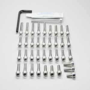Bolt Kit Silver