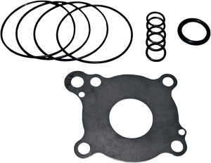 Oil Pump Rebuild Kit 
