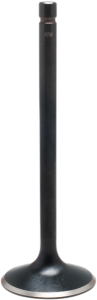 Black Diamond Engine Valve