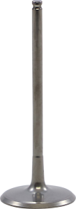 Engine Valve