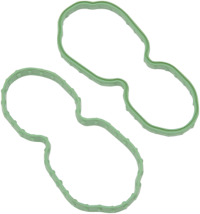 Fuel Pump Door Seal Green