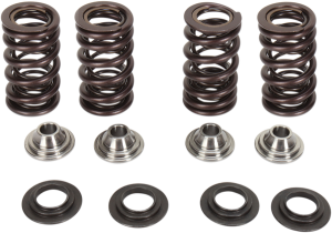 Valve Spring Kit