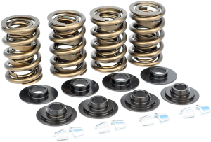 Dual Valve Spring Kit