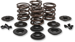 Complete Valve Spring Kit