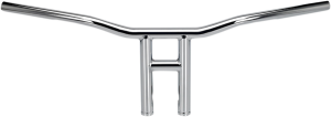 1(r) T-bar Silver