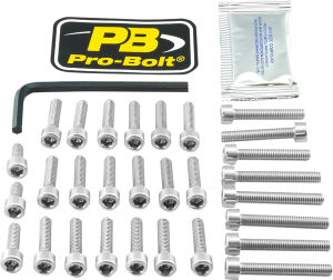 Bolt Kit Silver