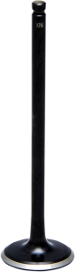 Black Diamond Engine Valve