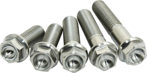 Titanium Screws Unfinished