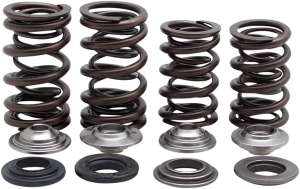 Lightweight Racing Valve Spring Kit, 1, nordicamoto.ro