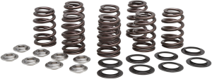 Beehive Valve Spring Kit
