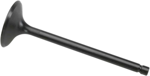 Black Diamond Engine Valve