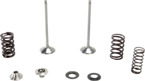 Stainless Exhaust Valve And Spring Kit, 1, nordicamoto.ro
