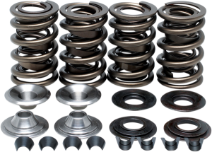 Valve Spring Kit
