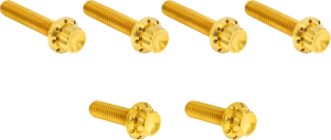 Transmission Side Cover Titanium 12-Point Bolt Kit Gold, 1, nordicamoto.ro