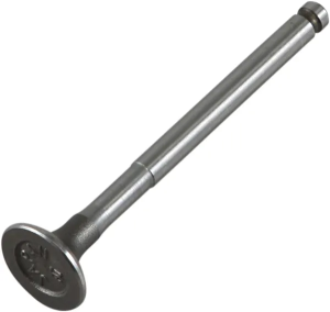 Motor szelep