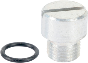 Oem-style Oil Pump Plug Silver, 2, nordicamoto.ro