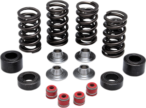 Valve Spring Kit