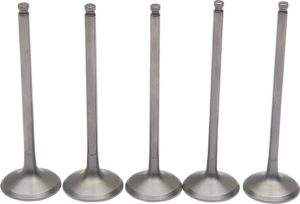 Pro Valve Kit 