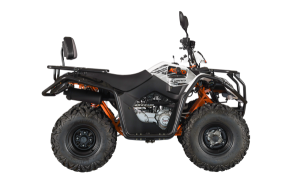 KAYO AU200 gyermek-ATV, T3b-kategóriában nyilvántartott, 4, nordicamoto.ro