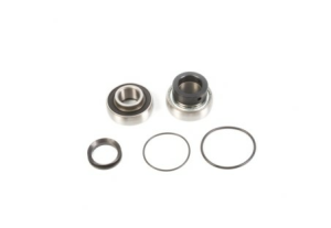 ALL-BALLS Bearing&seal kit, 1, nordicamoto.ro